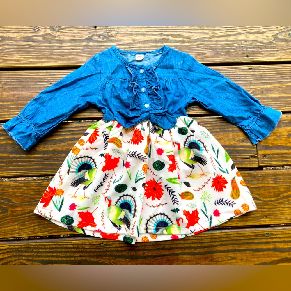 🦃 Thanksgiving holiday dress girls 3T turkeys 🦃